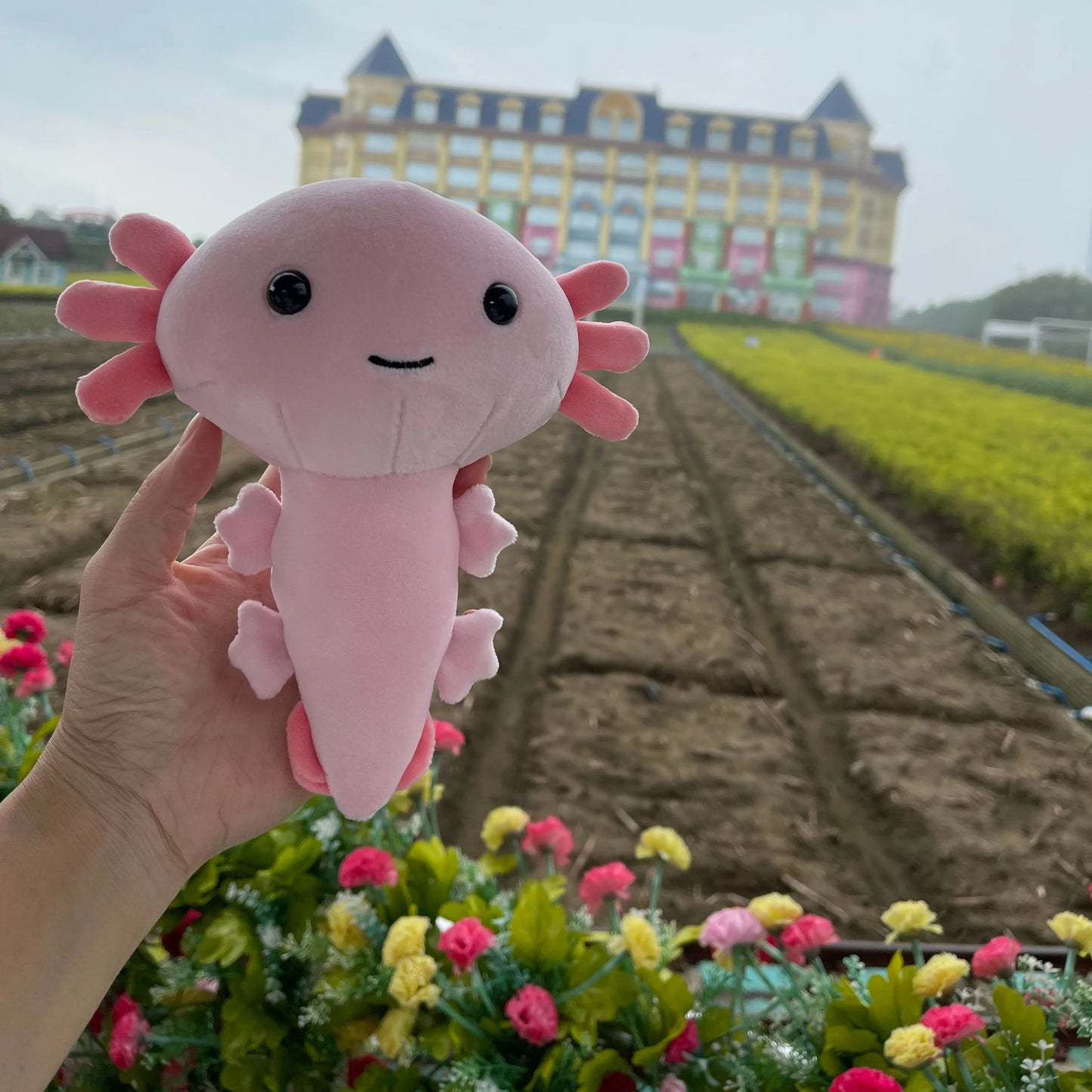 Anime Plush Toys Axolotl